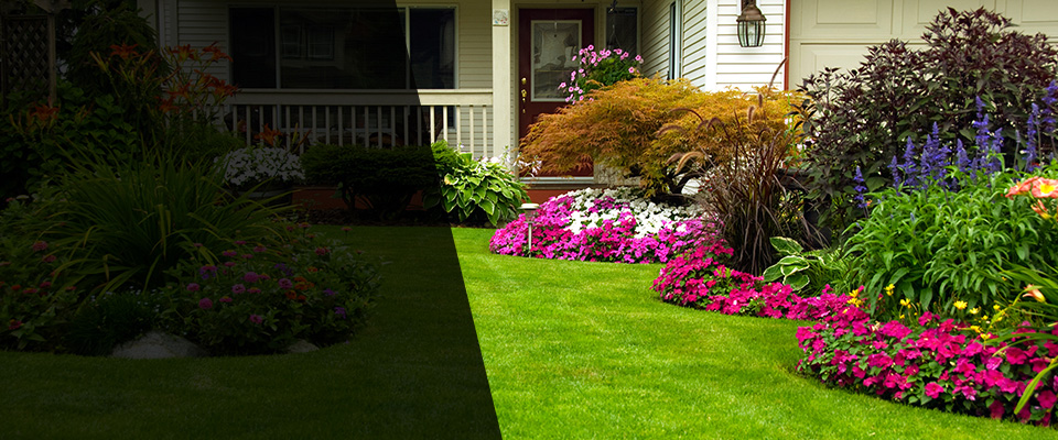 Cookeville Landscapers
